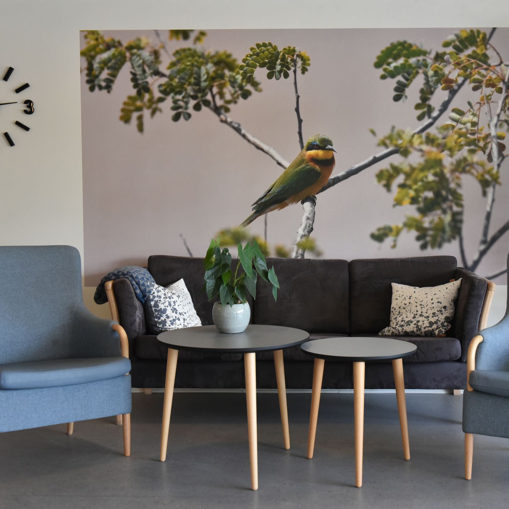 Et hyggeligt siddeområde i forhallen på Borupvænget