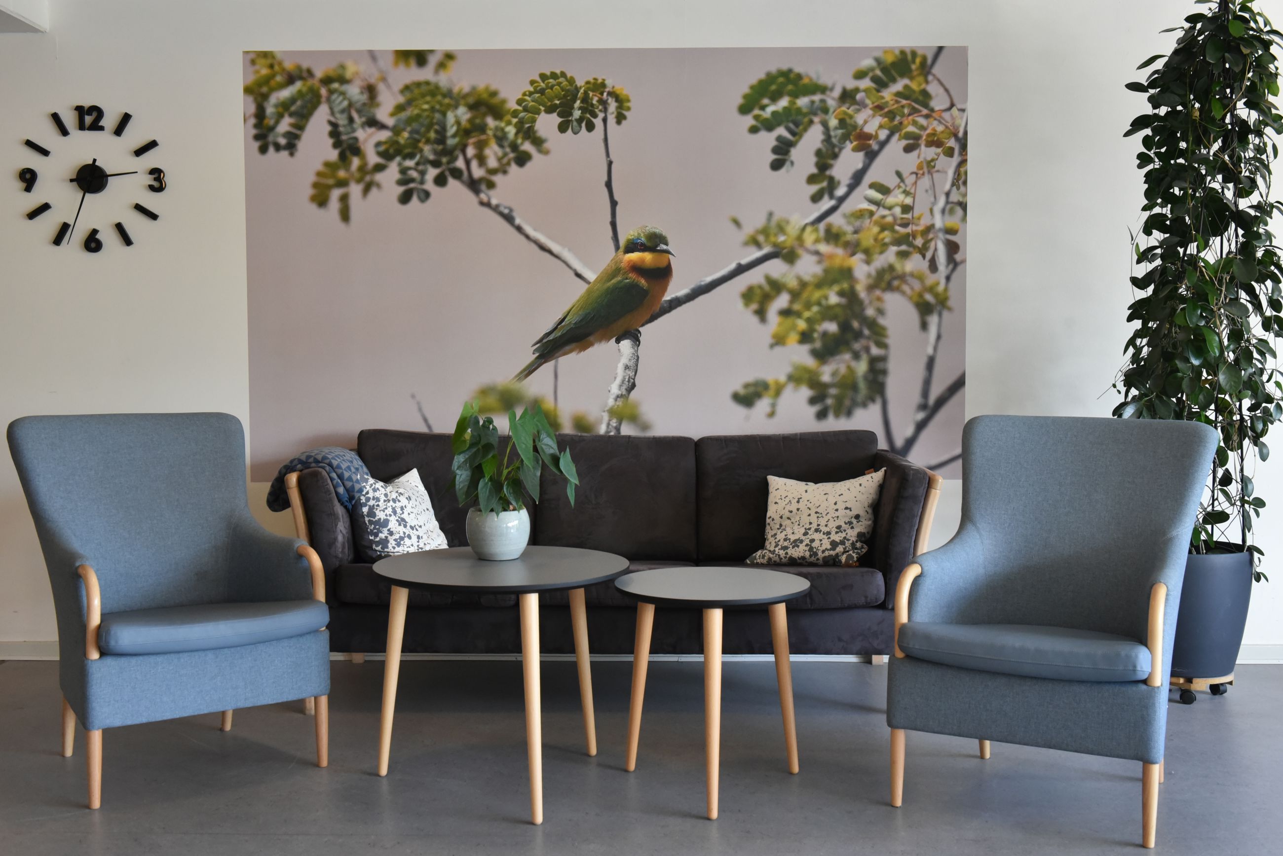 Et hyggeligt siddeområde i forhallen på Borupvænget