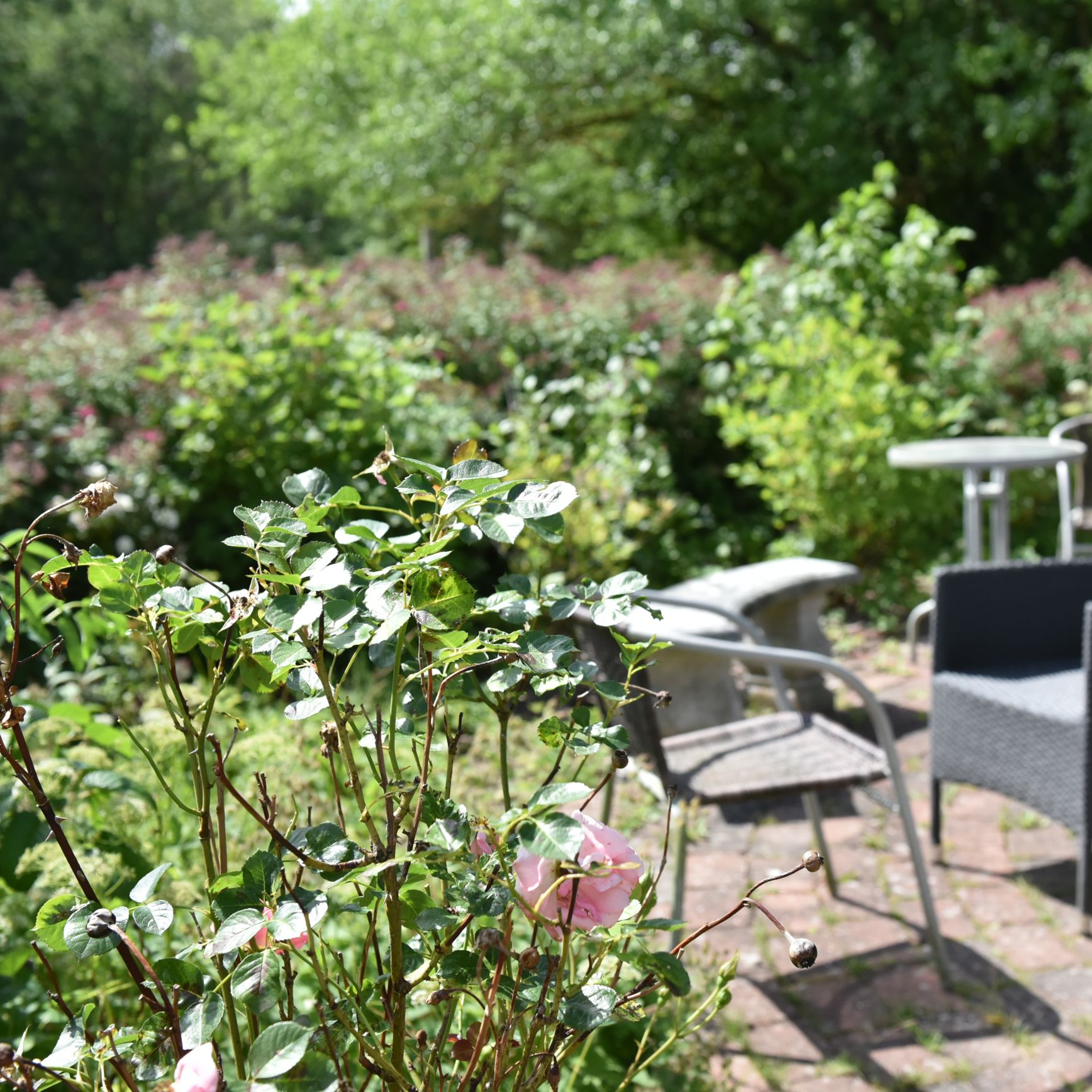 Siddepladser i udeområdet på Borupvænget