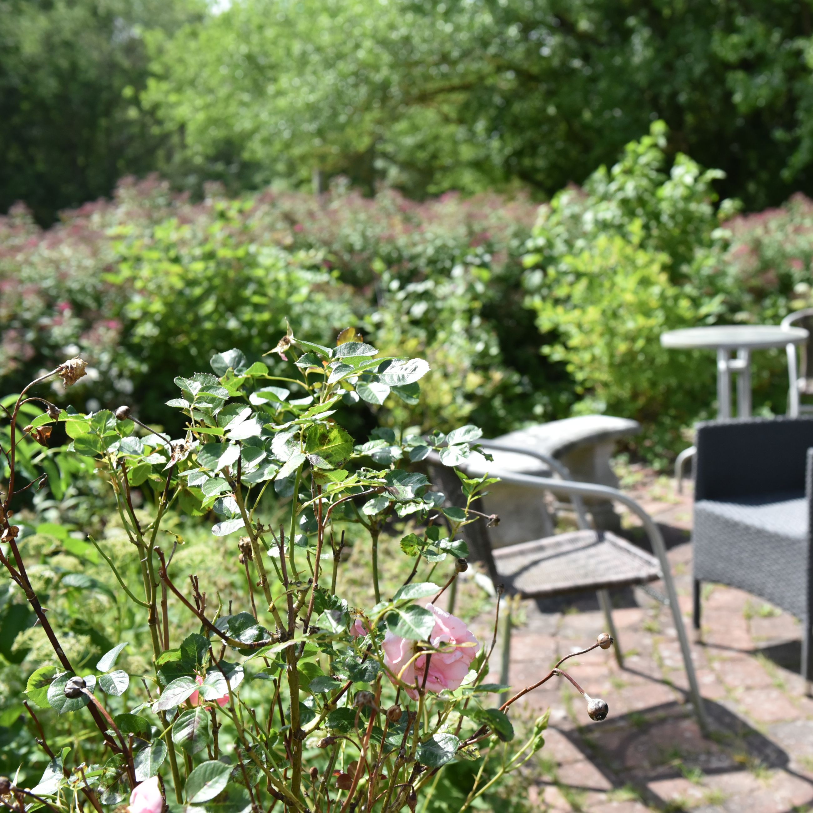 Siddepladser i udeområdet på Borupvænget