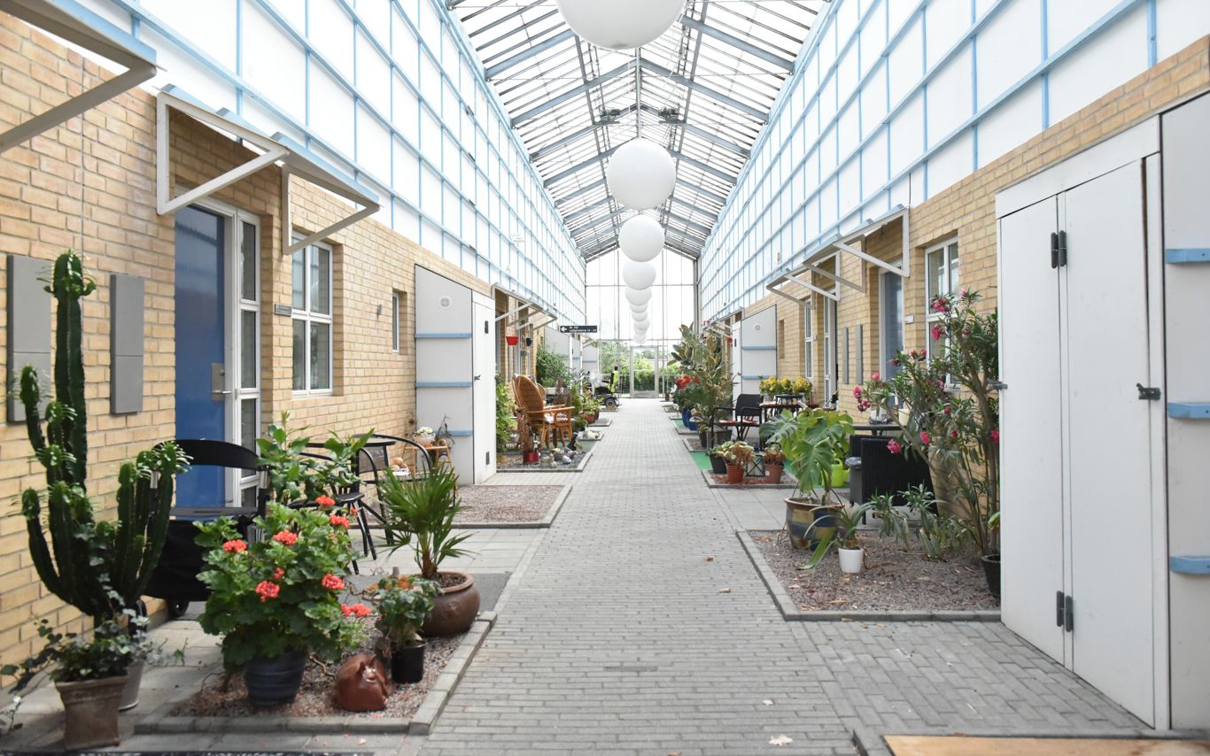 Gangareal på Borupvænget