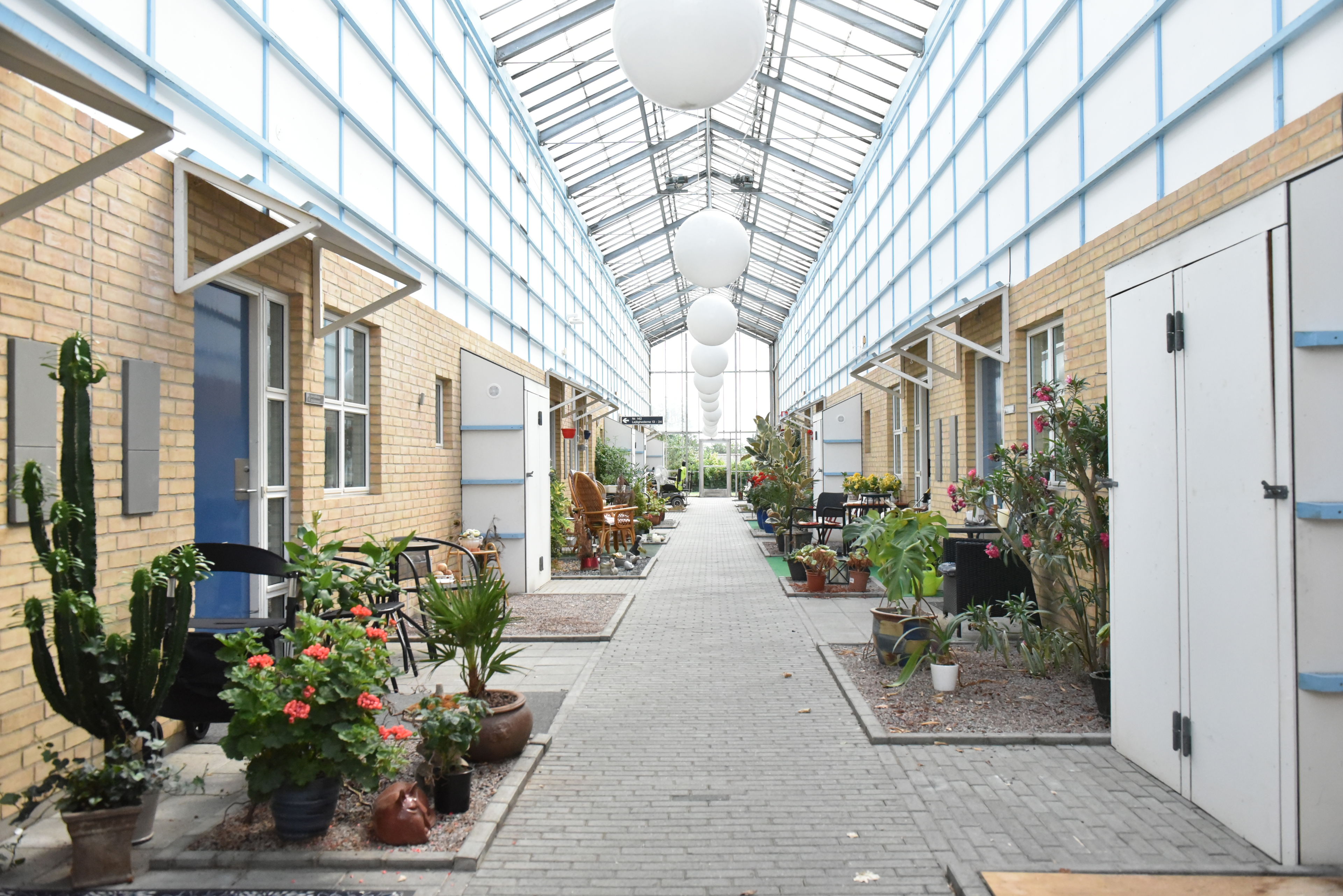 Gangareal på Borupvænget