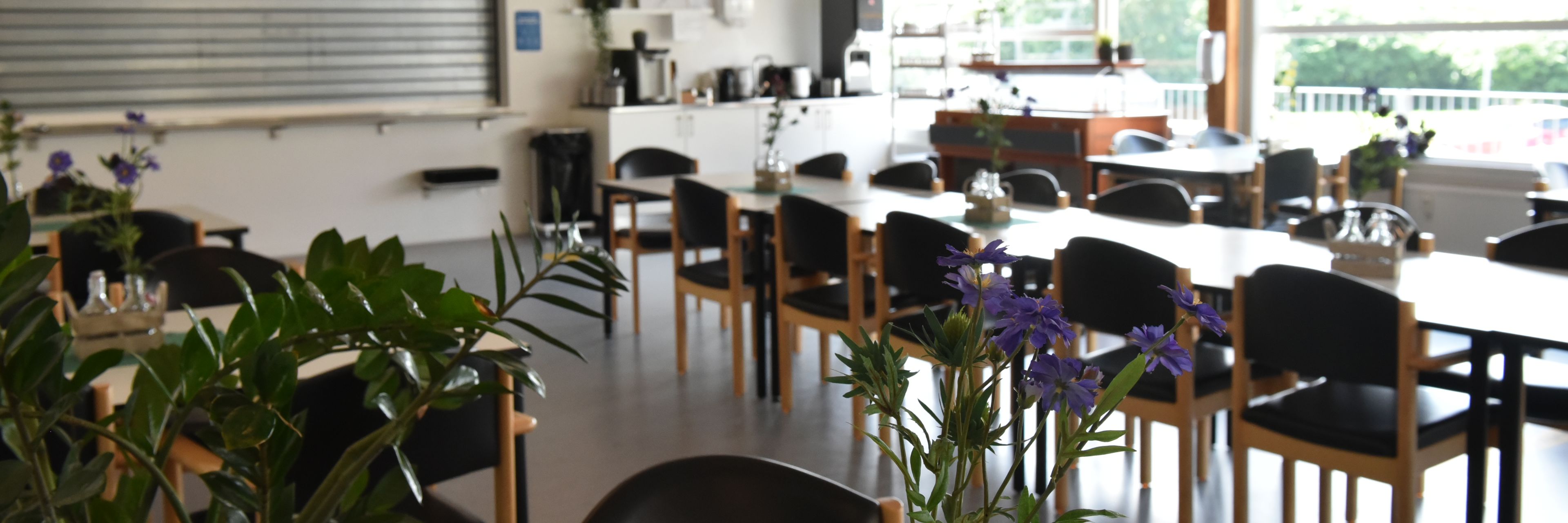 Caféen på Borupvænget