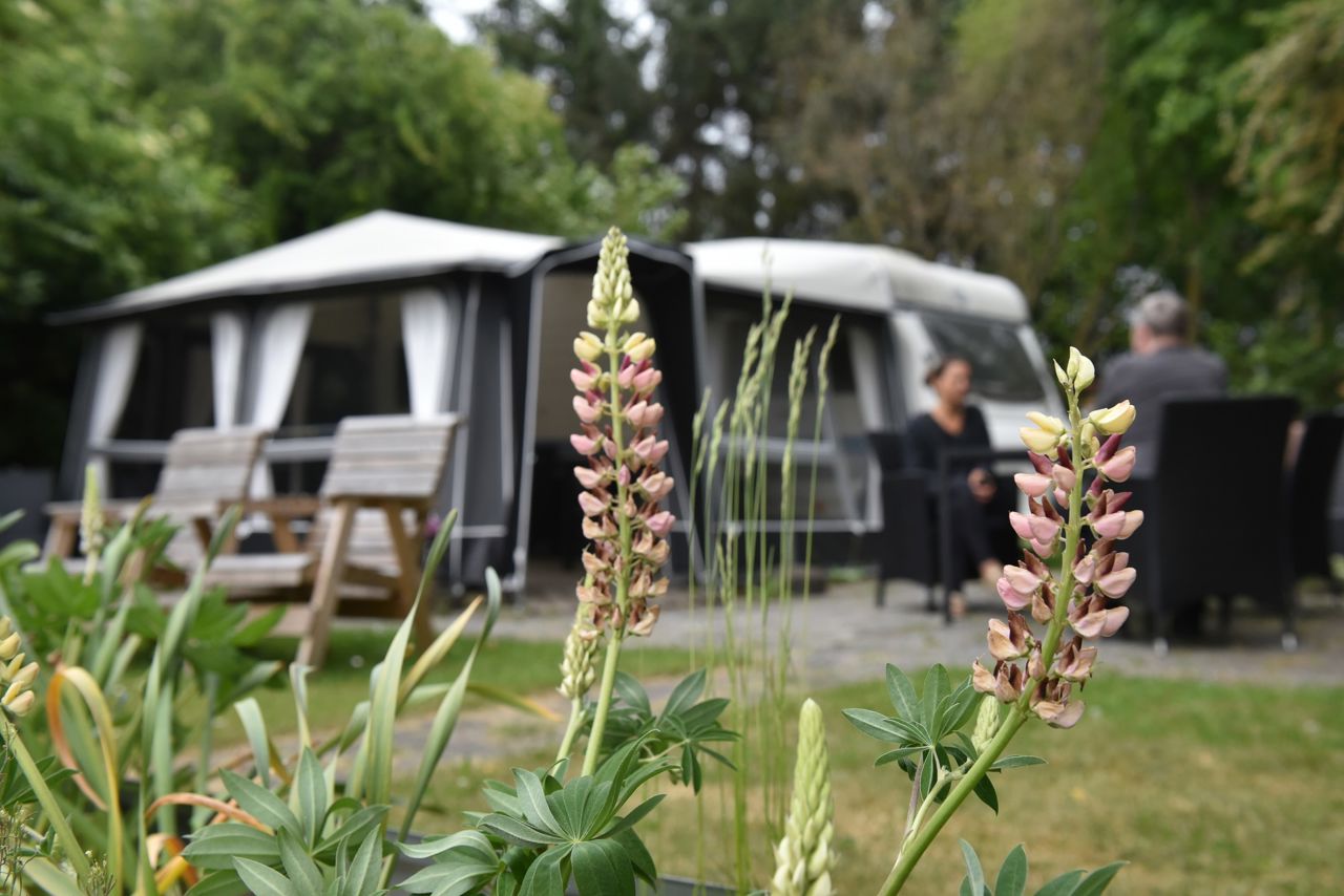 Borupvængets campingvogn