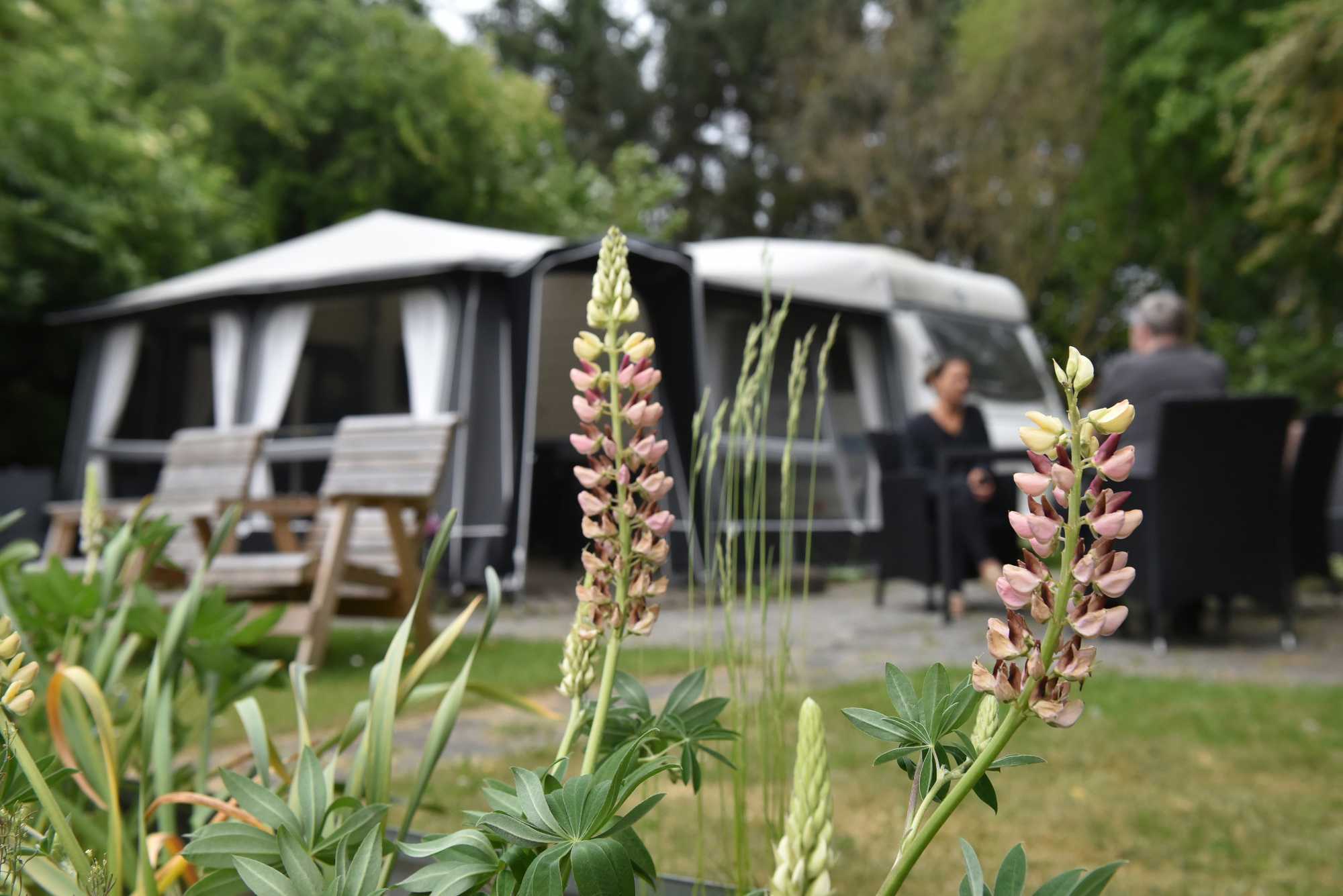 Borupvængets campingvogn